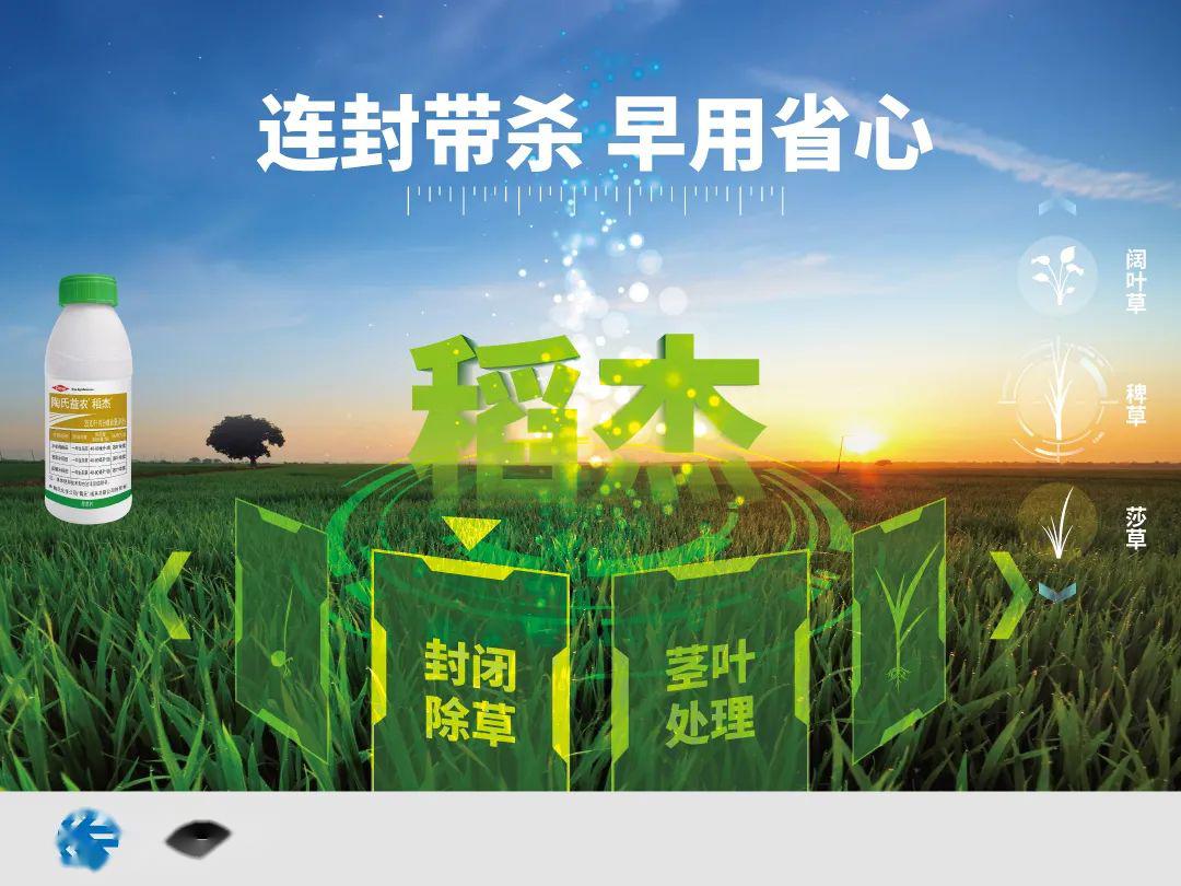 生物农药与肥料，农业发展的绿色之路