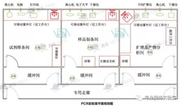 pcr扩增实验仪器